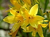 jardins02.JPG
