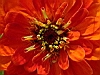 jardins05.JPG