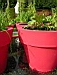 jardins07.JPG