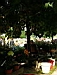 jardins10.JPG