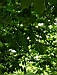 jardins11.JPG