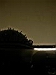 tbg03.JPG